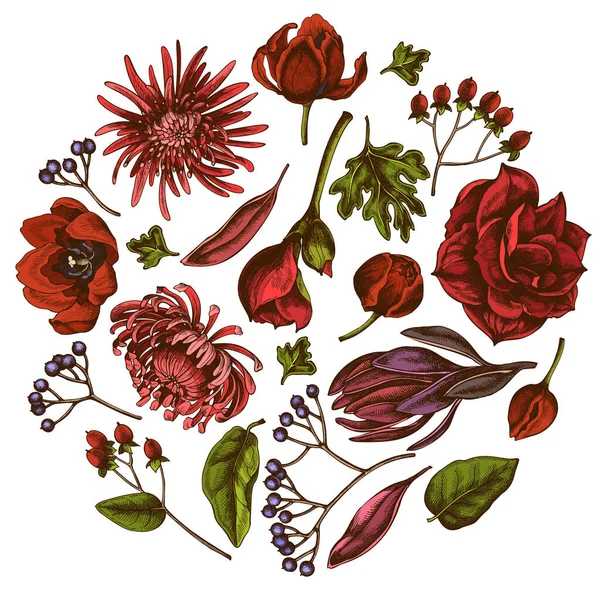 Круглий квітковий дизайн з кольоровою вібрацією, гіперікумом, тюльпаном, айстром, леадендроном, амарлісом — стоковий вектор