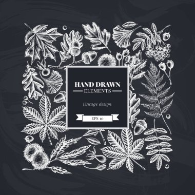 Tebeşir eğreltiotu, köpek gülü, rowan, ginkgo, akçaağaç, meşe, at kestanesi, kestane, dikenli