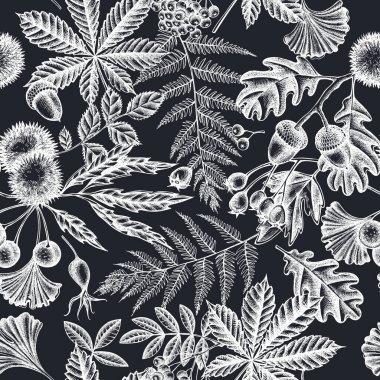 El yapımı tebeşir eğreltiotu, köpek gülü, rowan, ginkgo, akçaağaç, meşe, at kestanesi, kestane ağacı, dikenli diken