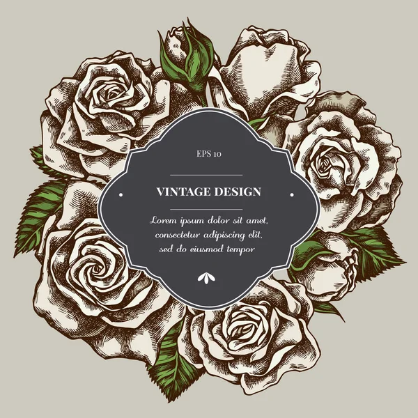 Emblema sobre design com rosas — Vetor de Stock