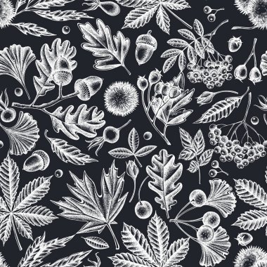 El yapımı tebeşir eğreltiotu, köpek gülü, rowan, ginkgo, akçaağaç, meşe, at kestanesi, kestane ağacı, dikenli diken