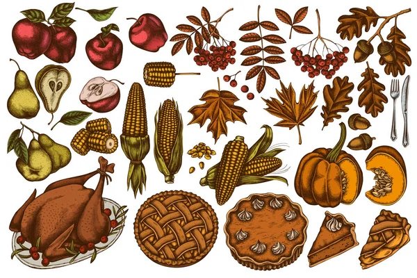 Векторний набір рук намальований гарбуз, виделка, ніж, груші, індичка, гарбузовий пиріг, яблучний пиріг, кукурудза, яблука, суниця, клен, дуб — стоковий вектор