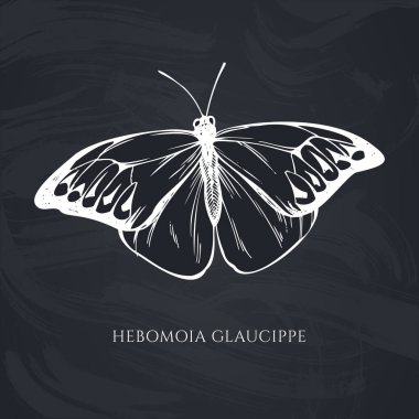 El çizimi vektör seti. Harika turuncu uçlu.