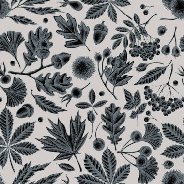 El yapımı eğreltiotu, köpek gülü, rowan, ginkgo, akçaağaç, meşe ağacı, at kestanesi, kestane ağacı, dikenli diken.