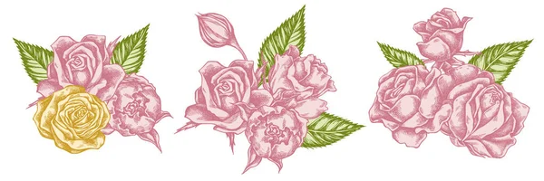 Bukiet kwiatów pastelowych róż — Wektor stockowy