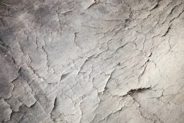 Natuurlijke Geripte Steen Textuur Verbergen — Stockfoto