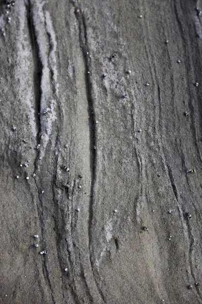 Деталь Стародавнього Скельного Утворення Березі Пляжу — стокове фото
