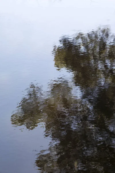 Reflet Arbre Dans Eau Lac — Photo