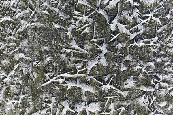 Lód Mrożone Czysto Bezpośrednio Drewna — Zdjęcie stockowe