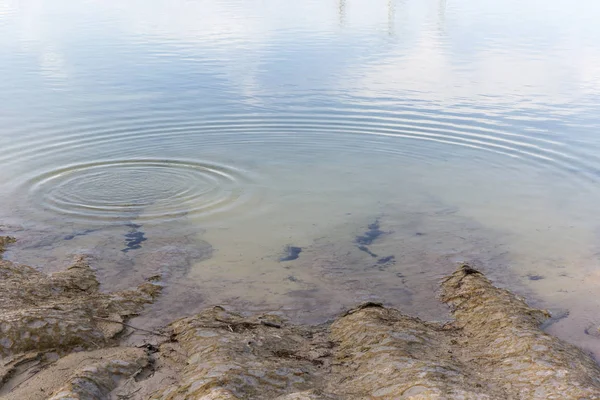 Gouttelettes Sur Bord Eau — Photo