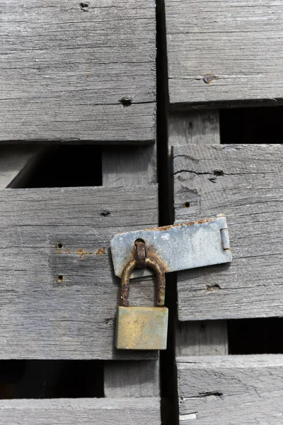 Paddock Puerta Asegurada Por Una Cerradura — Foto de Stock