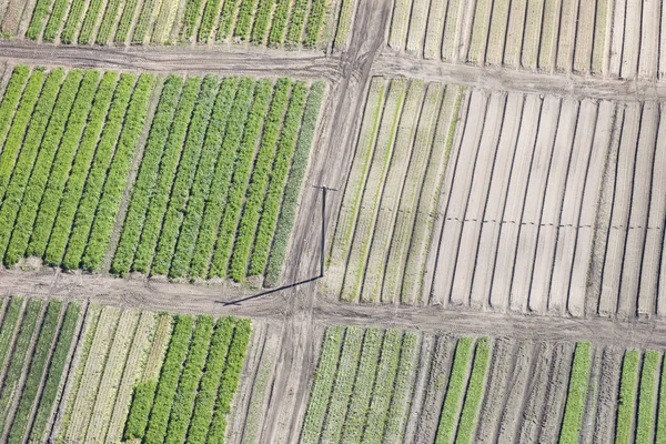 Oogsten Van Een Antenne Perspectief — Stockfoto