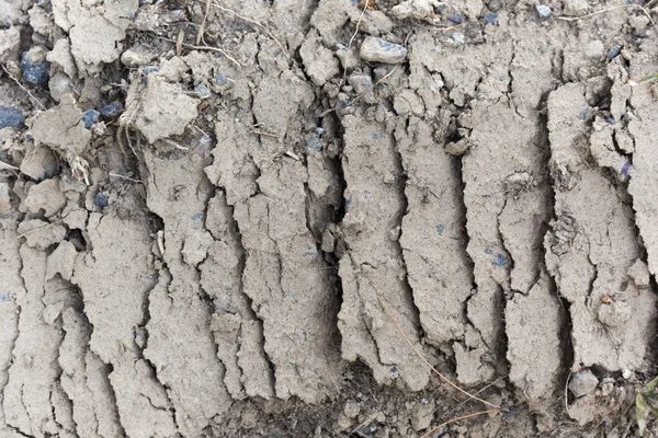 Textura Lama Árida Uma Sequência — Fotografia de Stock