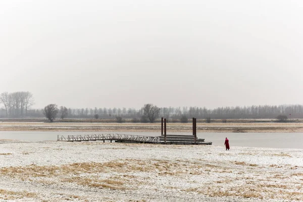 Pani w czerwonym spaceru pies — Zdjęcie stockowe