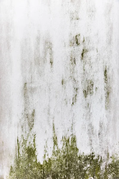 Wachsende grüne, schmutzige Wandtextur mit Wachstum — Stockfoto