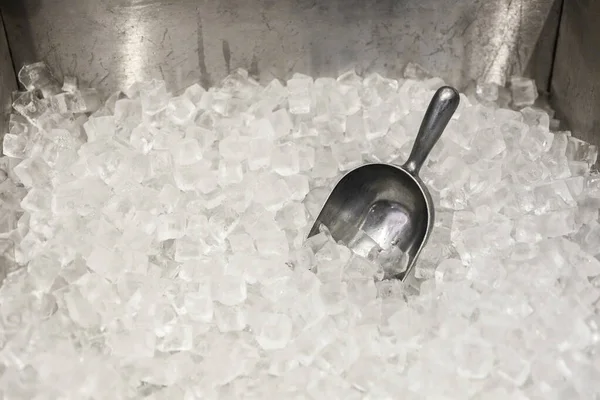 Large commercial ice bucket with ice scoop.