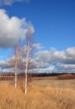 Tula bölgesi sonbahar 2018