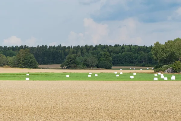 Finsta Suecia Agosto 2018 Lugar Nacimiento Santa Birgitta Los Alrededores —  Fotos de Stock