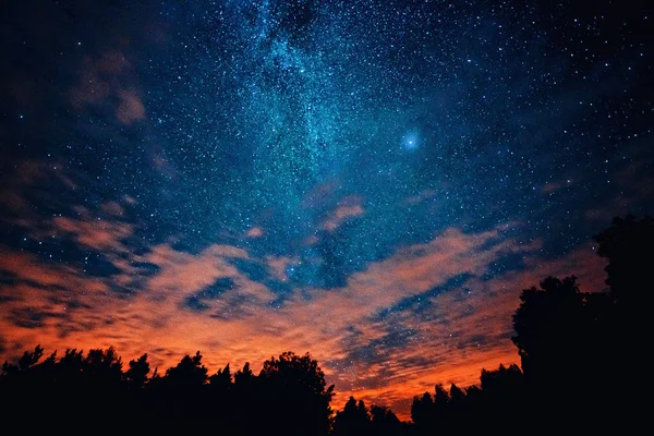 Silhouetten Van Bomen Tijdens Een Heldere Nachthemel Met Delen Van — Stockfoto