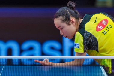 STOCKHOLM, SWEDEN - NOV 4, 2018: Woman finals between the winner Mima Ito (JPN ) vs Yuling Zhu (CHI) at  the table tennis tournament SOC at the arena Eriksdalshallen in Stockholm. Mima Ito the winner clipart