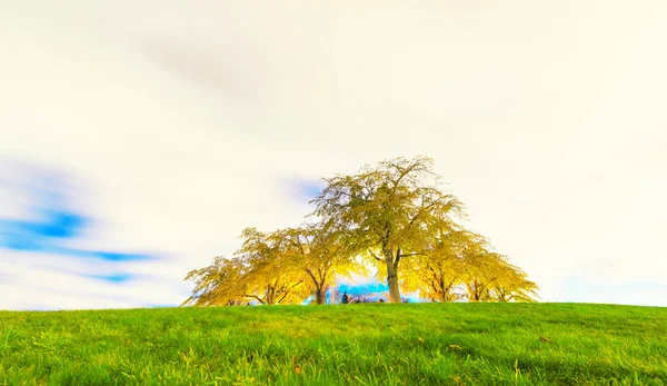 Ağaçlar Canlı Yeşil Çim Parlak Gökyüzü Ile Ahşap Mezarlığındaki Hill — Stok fotoğraf