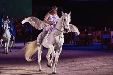 Solna, İsveç - 30 Kasım 2018: İsveç Uluslararası Horse Show arkadaşlar Arena açılış töreninde, Pegasus.