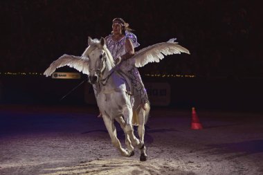 Solna, İsveç - 30 Kasım 2018: İsveç Uluslararası Horse Show arkadaşlar Arena açılış töreninde, Pegasus.