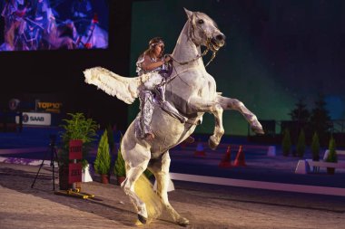 Solna, İsveç - 30 Kasım 2018: İsveç Uluslararası Horse Show arkadaşlar Arena açılış töreninde, Pegasus.