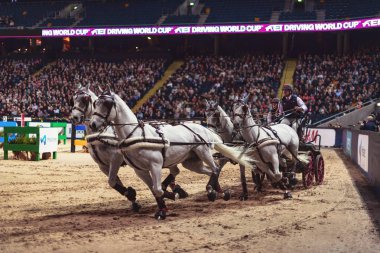 Solna, İsveç - 30 Kasım 2018: arkadaşlar Arena İsveç Uluslararası at fuarında sürüş Fei Dünya Kupası.