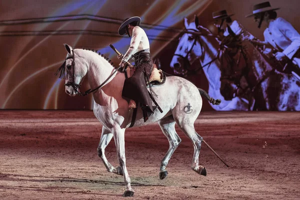 Solna Suède Nov 2018 Garrocha Pole Riding Alma Vaquera Salon — Photo