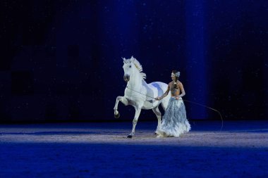 Solna, İsveç - 1 Aralık 2018: Alizee Froment en son ne zaman İsveç Uluslararası at Fuarı'nda arkadaşlar Arena, Mistral beyaz atı ile.