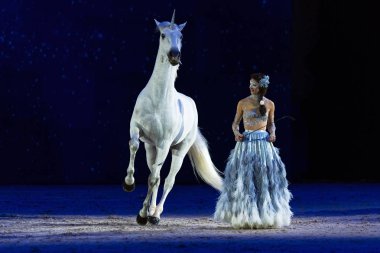 Solna, İsveç - 1 Aralık 2018: Alizee Froment en son ne zaman İsveç Uluslararası at Fuarı'nda arkadaşlar Arena, Mistral beyaz atı ile.