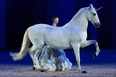Solna, İsveç - 1 Aralık 2018: Alizee Froment en son ne zaman İsveç Uluslararası at Fuarı'nda arkadaşlar Arena, Mistral beyaz atı ile.