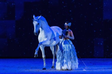 Solna, İsveç - 1 Aralık 2018: Alizee Froment en son ne zaman İsveç Uluslararası at Fuarı'nda arkadaşlar Arena, Mistral beyaz atı ile.