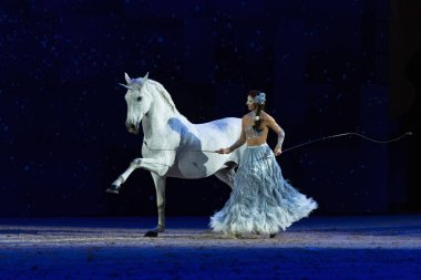 SOLNA, SWEDEN - DEC 1, 2018: Alizee Froment with the white horse Mistral for the last time at Sweden International Horse Show at Friends Arena. clipart