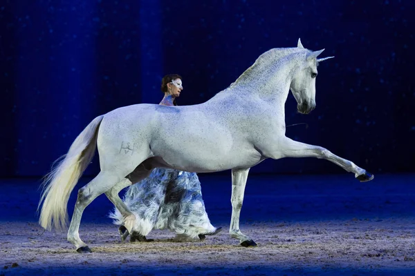 Solna Suecia Dic 2018 Alizee Froment Con Caballo Blanco Mistral — Foto de Stock