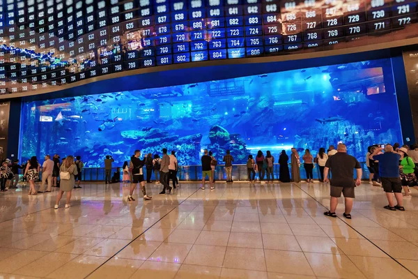 Uae 2019年1月20日 迪拜商场与它著名的大型水族馆与鲨鱼和射线 人们观看 — 图库照片