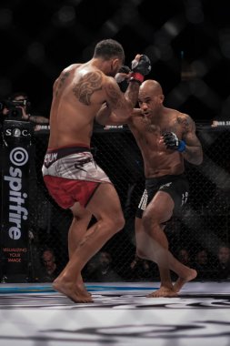 Dyland Andrews (Aus) bir arasında Üstün meydan okuma 19 başlık bout