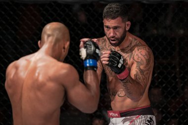 Dyland Andrews (Aus) bir arasında Üstün meydan okuma 19 başlık bout