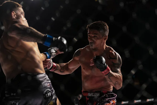 Superior challenge 19 title bout between Diego Nunes (BRA) and S — Stock Photo, Image