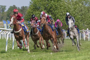 Gard'daki Nationaldagsgaloppen'de güneşli havalarda at yarışı