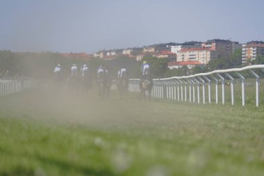 Gard'daki Nationaldagsgaloppen'de güneşli havalarda at yarışı