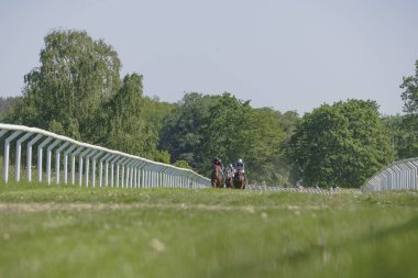 Gard'daki Nationaldagsgaloppen'de güneşli havalarda at yarışı