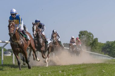 Gard'daki Nationaldagsgaloppen'de güneşli havalarda at yarışı