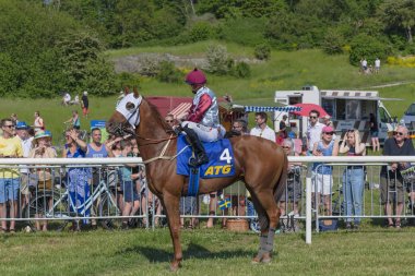 Gard'daki Nationaldagsgaloppen'de güneşli havalarda at yarışı