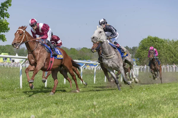 Horseracing during sunny weather at Nationaldagsgaloppen at Gard — Stock Photo, Image