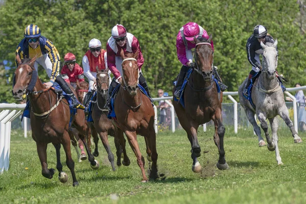 Horseracing during sunny weather at Nationaldagsgaloppen at Gard — Stock Photo, Image