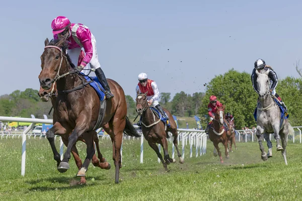 Horseracing during sunny weather at Nationaldagsgaloppen at Gard — Stock Photo, Image