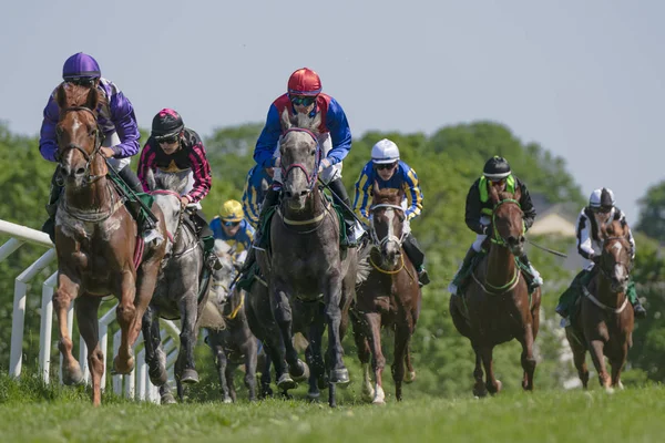 Horseracing podczas słonecznej pogody w Nationaldagsgaloppen at Gard — Zdjęcie stockowe