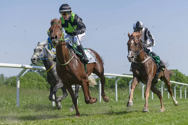 Horseracing vid soligt väder på Nationaldagsgaloppen på Gard — Stockfoto